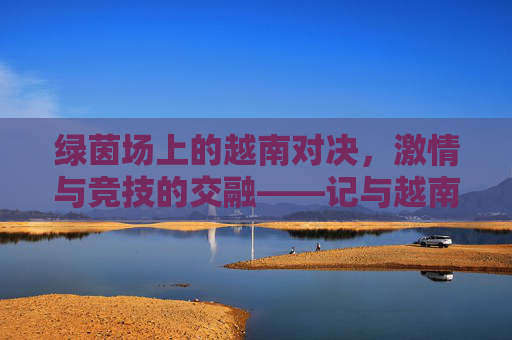 绿茵场上的越南对决，激情与竞技的交融——记与越南足球比赛纪实，绿茵场上的越南对决，激情与竞技的交融——记与越南足球比赛纪实