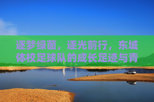 逐梦绿茵，逐光前行，东城体校足球队的成长足迹与青春荣光，逐梦绿茵，逐光前行，东城体校足球队的成长足迹与青春荣光
