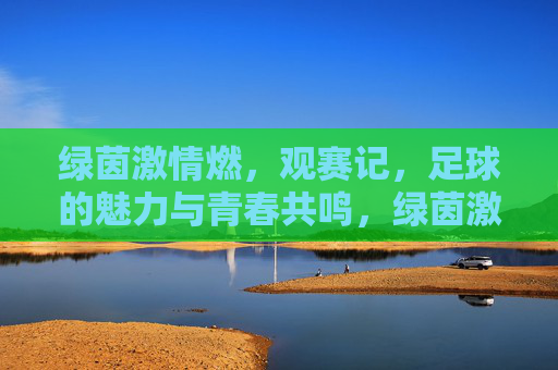 绿茵激情燃，观赛记，足球的魅力与青春共鸣，绿茵激情燃，足球的魅力与青春共鸣观赛记