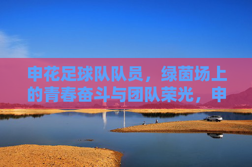 申花足球队队员，绿茵场上的青春奋斗与团队荣光，申花足球队队员，绿茵场上的青春奋斗与团队荣光