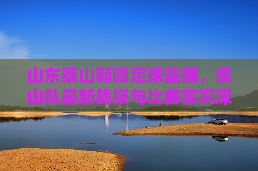 山东泰山新闻足球直播,泰山队最新战报与比赛实况深度解析,山东泰山队足球直播,最新战报与比赛实况深度解析
