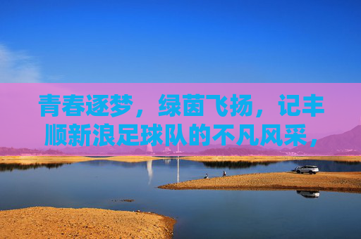 青春逐梦，绿茵飞扬，记丰顺新浪足球队的不凡风采，青春逐梦，绿茵飞扬，记丰顺新浪足球队的不凡风采