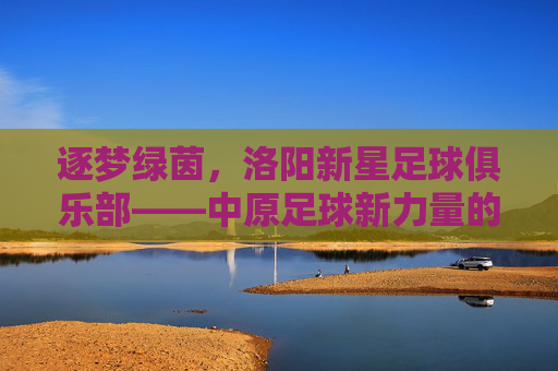 逐梦绿茵,洛阳新星足球俱乐部——中原足球新力量的崛起与希望,逐梦绿茵,洛阳新星足球俱乐部——中原足球新力量的崛起与希望