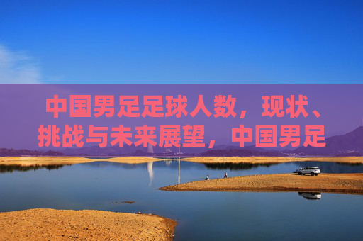 中国男足足球人数,现状、挑战与未来展望,中国男足足球人数,现状、挑战与未来展望