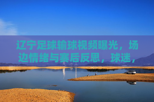 辽宁足球输球视频曝光，场边情绪与赛后反思，球迷，这届辽足太难了，辽宁足球输球视频曝光，场边情绪与赛后反思，球迷感叹这届辽足太难了