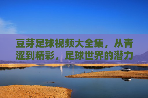 豆芽足球视频大全集,从青涩到精彩,足球世界的潜力与激情,豆芽足球视频大全集,从青涩到精彩,足球世界的潜力与激情