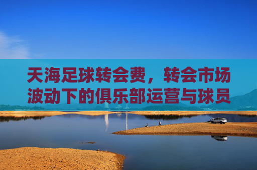 天海足球转会费,转会市场波动下的俱乐部运营与球员价值评估,天海足球转会费,转会市场波动下的俱乐部运营与球员价值评估
