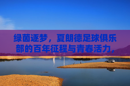 绿茵逐梦，夏朗德足球俱乐部的百年征程与青春活力，绿茵逐梦，夏朗德足球俱乐部的百年征程与青春活力