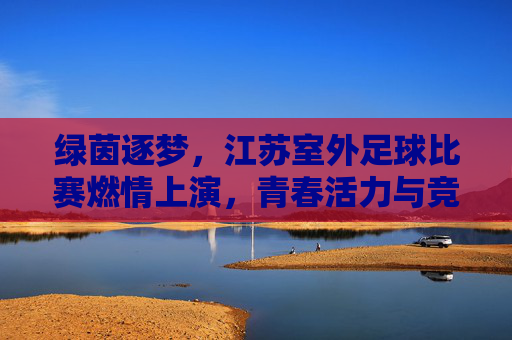 绿茵逐梦，江苏室外足球比赛燃情上演，青春活力与竞技精神共谱新篇，绿茵逐梦，江苏室外足球比赛燃情上演，青春活力与竞技精神共谱新篇