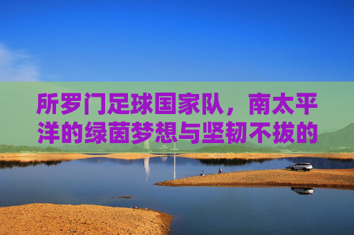 所罗门足球国家队，南太平洋的绿茵梦想与坚韧不拔的团队精神，所罗门足球国家队，南太平洋的绿茵梦想与坚韧不拔的团队精神