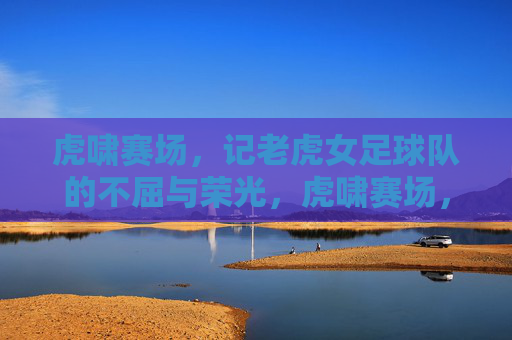 虎啸赛场，记老虎女足球队的不屈与荣光，虎啸赛场，记老虎女足球队的不屈与荣光