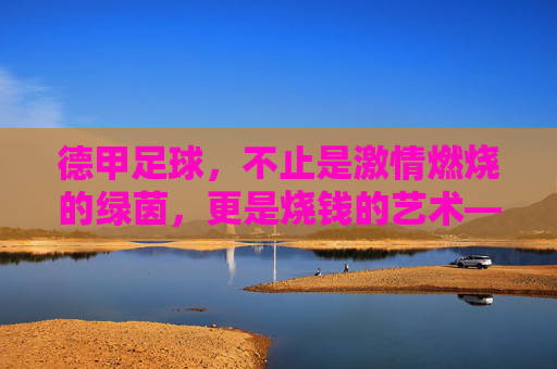 德甲足球,不止是激情燃烧的绿茵,更是烧钱的艺术——从转会费到球迷消费的全方位成本解密,德甲足球的烧钱艺术,从转会费到球迷消费的全方位成本解密