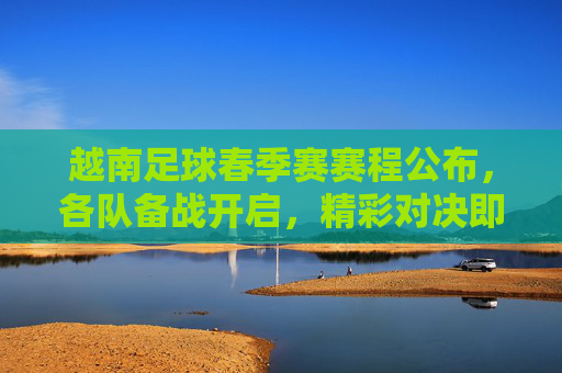 越南足球春季赛赛程公布,各队备战开启,精彩对决即将上演