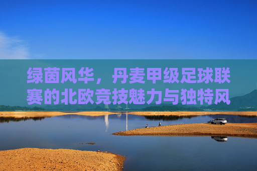 绿茵风华,丹麦甲级足球联赛的北欧竞技魅力与独特风情