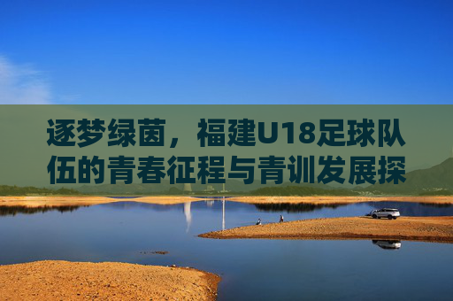 逐梦绿茵，福建U18足球队伍的青春征程与青训发展探析