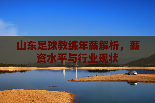 山东足球教练年薪解析，薪资水平与行业现状