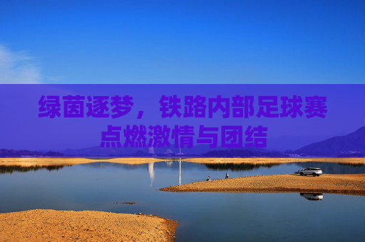 绿茵逐梦,铁路内部足球赛点燃激情与团结