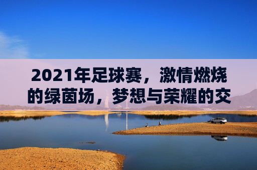 2021年足球赛,激情燃烧的绿茵场,梦想与荣耀的交织