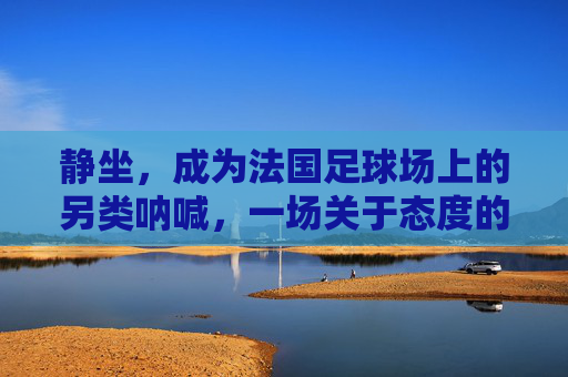 静坐，成为法国足球场上的另类呐喊，一场关于态度的较量，静坐，法国足球场上的另类呐喊与态度较量