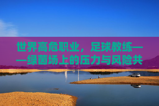 世界高危职业,足球教练——绿茵场上的压力与风险共舞者,世界高危职业,足球教练——绿茵场上的压力与风险共舞者