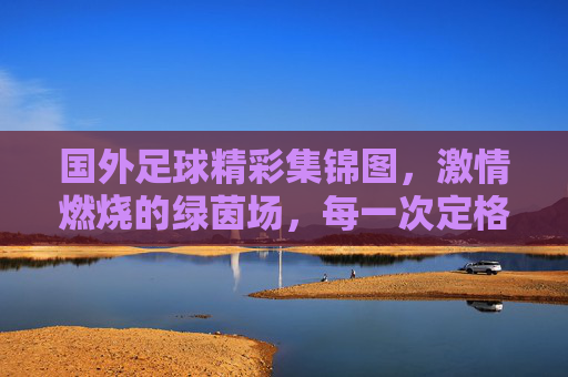 国外足球精彩集锦图，激情燃烧的绿茵场，每一次定格都是心跳的共鸣，国外足球精彩集锦，激情燃烧的绿茵场，每一次定格都是心跳的共鸣