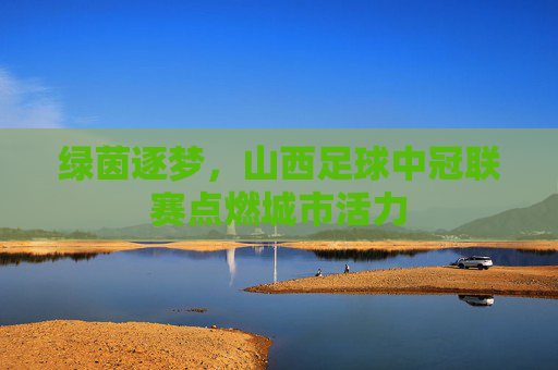 绿茵逐梦,山西足球中冠联赛点燃城市活力