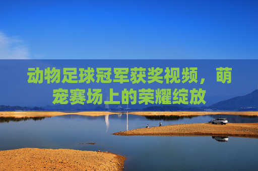 动物足球冠军获奖视频,萌宠赛场上的荣耀绽放