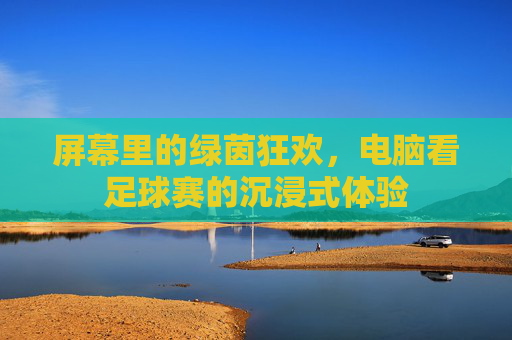 屏幕里的绿茵狂欢,电脑看足球赛的沉浸式体验