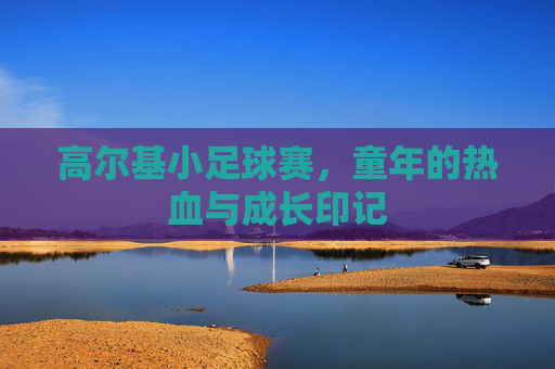 高尔基小足球赛,童年的热血与成长印记