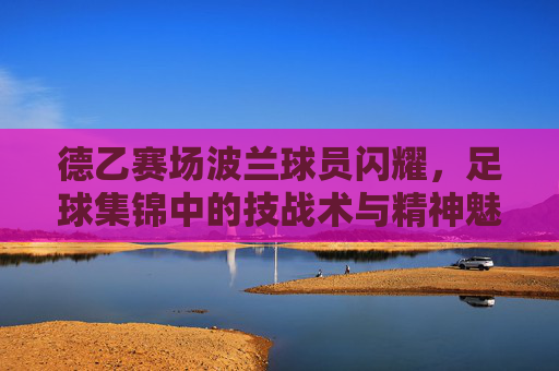 德乙赛场波兰球员闪耀,足球集锦中的技战术与精神魅力