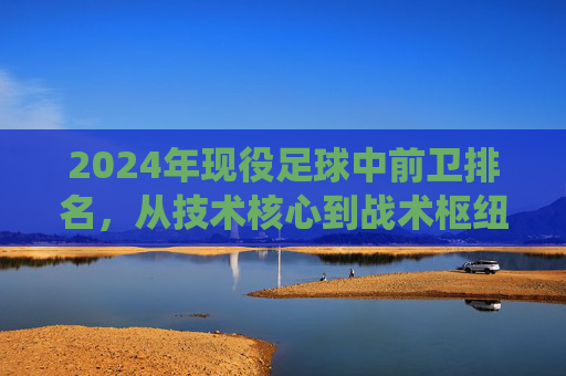 2024年现役足球中前卫排名，从技术核心到战术枢纽的多维度解析