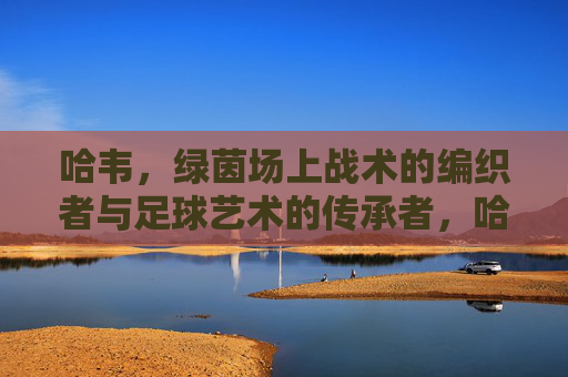 哈韦,绿茵场上战术的编织者与足球艺术的传承者,哈韦,绿茵场上战术的编织者与足球艺术的传承者
