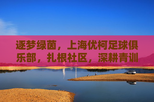 逐梦绿茵,上海优柯足球俱乐部,扎根社区,深耕青训,为足球梦想注入活力,逐梦绿茵,上海优柯足球俱乐部扎根社区深耕青训,为足球梦想注入活力