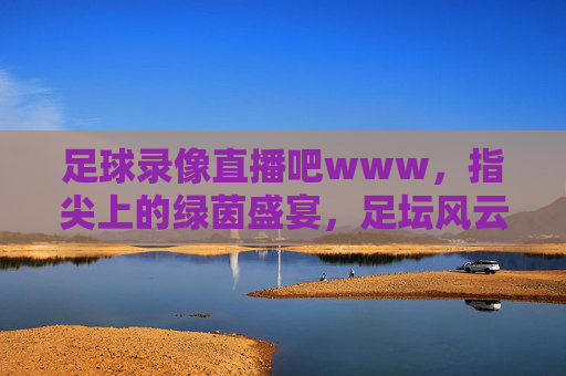 足球录像直播吧www，指尖上的绿茵盛宴，足坛风云尽在掌握