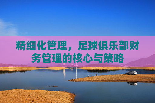 精细化管理，足球俱乐部财务管理的核心与策略