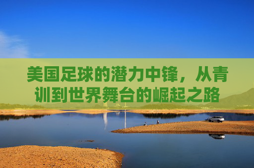 美国足球的潜力中锋，从青训到世界舞台的崛起之路