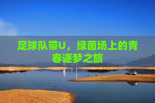 足球队带U,绿茵场上的青春逐梦之旅