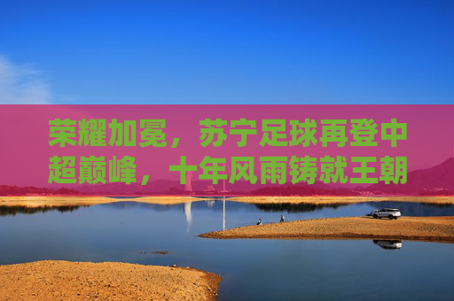 荣耀加冕,苏宁足球再登中超巅峰,十年风雨铸就王朝伟业