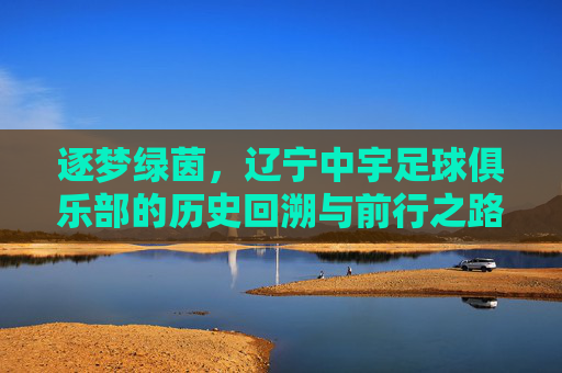 逐梦绿茵,辽宁中宇足球俱乐部的历史回溯与前行之路,逐梦绿茵,辽宁中宇足球俱乐部的历史回溯与前行之路