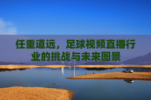 任重道远，足球视频直播行业的挑战与未来图景