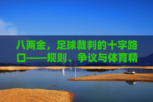 八两金,足球裁判的十字路口——规则、争议与体育精神的拷问