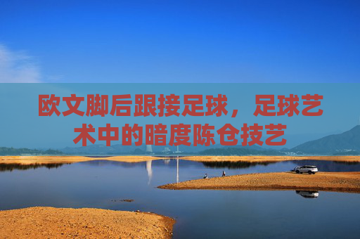 欧文脚后跟接足球,足球艺术中的暗度陈仓技艺