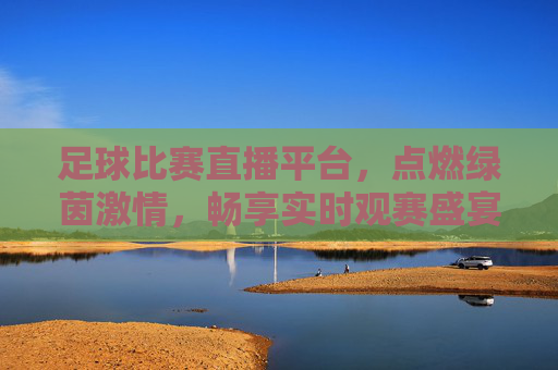 足球比赛直播平台,点燃绿茵激情,畅享实时观赛盛宴,足球比赛直播平台,点燃绿茵激情,畅享实时观赛盛宴