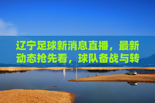 辽宁足球新消息直播,最新动态抢先看,球队备战与转会传闻解析