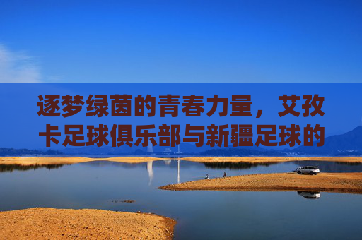 逐梦绿茵的青春力量，艾孜卡足球俱乐部与新疆足球的璀璨篇章