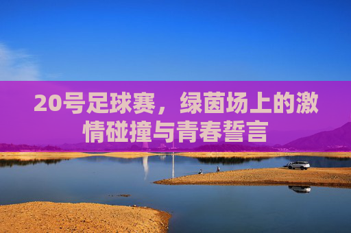 20号足球赛,绿茵场上的激情碰撞与青春誓言