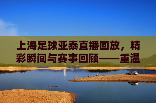 上海足球亚泰直播回放,精彩瞬间与赛事回顾——重温赛场激情,解析战术细节