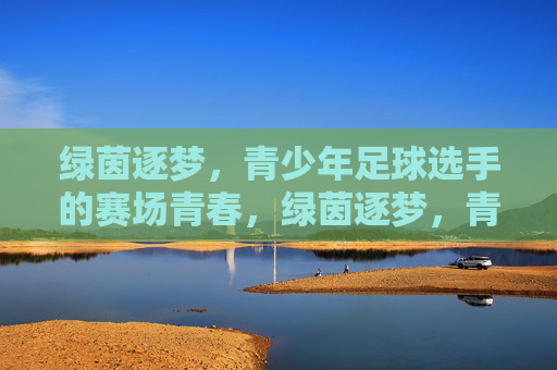 绿茵逐梦，青少年足球选手的赛场青春，绿茵逐梦，青少年足球选手的赛场青春