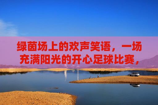 绿茵场上的欢声笑语,一场充满阳光的开心足球比赛,绿茵欢声,阳光下的快乐足球比赛