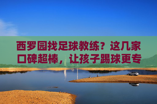 西罗园找足球教练？这几家口碑超棒，让孩子踢球更专业！西罗园找足球教练？这几家口碑超棒，让孩子踢球更专业！
